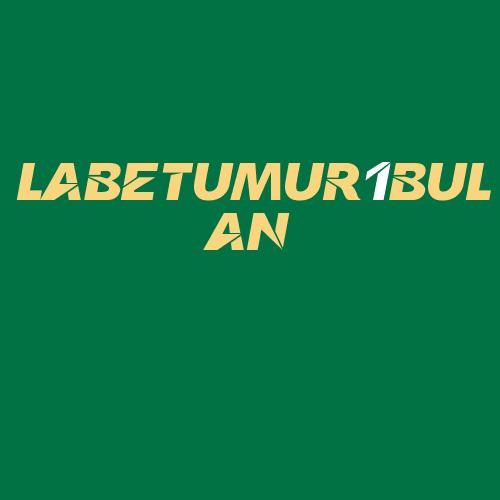 Logo da LABETUMUR1BULAN